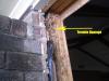 Charleston Home Inspection Reveals Termite Damage