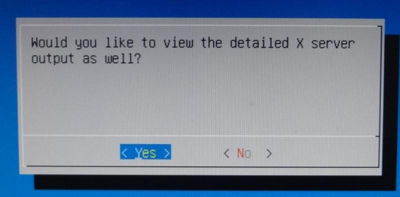 detailed x server output